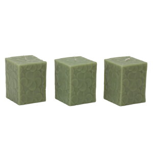 Natural Light Candle (i`CgLh)SET OF 3 FRANGEPANI MINI CUBES_JADEyMtg v[gz A}Lh X VR AWA o ][g Zbg CeAy3,000~ȏ 
