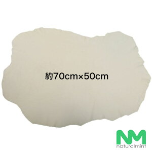 Z[v TCY@sK 50cm×70cm 1@VRfނ̃N[i[@ԁEX}zE΋MEvEKlEVU[EJ̉zR