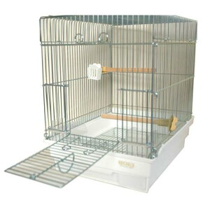  HOEI 21̂ zCg Ă̂ZLZCCR 