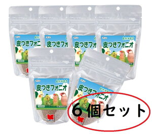 ybgt[h Rh錾 ttHjI 120g×6Zbg@