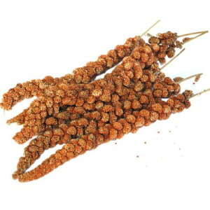 ̉a IWi Ԉ̕ 100g CRa CR