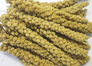 ̉a IWi ̕ () 100g CRa CR