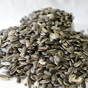 IWi Ђ܂̎ (嗱) 900g