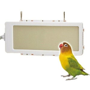 ybgpۉ OW OtXq[^[ 25W@