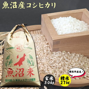 魚沼産 コシヒカリ 玄米30kg 令和7年産/1等/米/玄米/新米 
