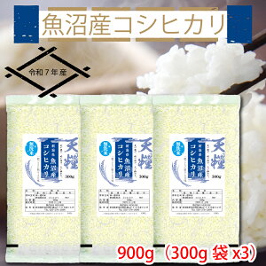 yVāzߘa7NY V Y  RVqJ300g 600g 900g ꓙ V S Â  傫 VY  2025N   Mtg 蕨  ei   1 2 3 u