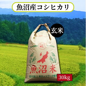 コシヒカリ 一等米 玄米 30kg」の人気商品一覧 | 安い商品を通販サイト 