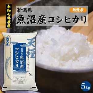 yVė\zV Y  RVqJ5kg ߘa7NxY  ꓙ V S Â  傫 VY  2025N   Mtg 蕨  ei   5L uh