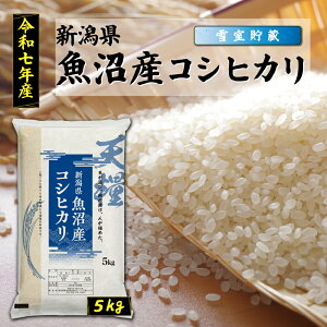 yVāzߘa7NY V Y Ꮊ RVqJ5kg  ꓙ V S Â  傫 VY  2025N   Mtg 蕨  ei   5L uh P