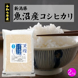 令和7年産 新潟 魚沼産 無洗米 コシヒカリ 2kg 一等米 天糧 粘り甘み 香り 粒が大きい 新潟産 米 2025年 ギフト 贈り物 高級 お米 2キロ ブランド 単一米 こしひかり 美味しい おにぎり 喰王 がおう