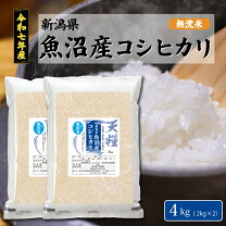 楽天市場】コシヒカリ 単一米 新潟の通販