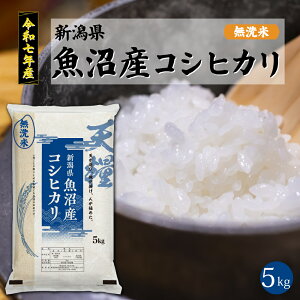 yVāzߘa7NY V Y  RVqJ5kg  ꓙ V S Â  傫 VY  2025N   Mtg 蕨  ei   5L uh P