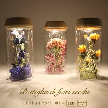 楽天市場 母の日ギフト プレゼント特集 カーネーションの花鉢