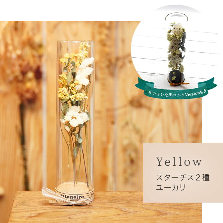 楽天市場 ドライフラワー ボトル ドライフラワー プレゼント 瓶 3色 スターチス 花 おしゃれ リラックス インテリア 癒し 引越し祝い 赤 青 黄色 ピンク ドライフラワー プレゼント ドライフラワー ギフト 送料無料 ナチュラルプラスワン Naturalplusone 自然を 楽天市場 ドライフラワー ボトル ドライフラワー プレゼント 瓶 3色 スターチス 花 おしゃれ リラックス インテリア 癒し 引越し祝い 赤 青 黄色 ピンク ドライフラワー プレゼント ドライフラワー ギフト 送料無料 ナチュラルプラスワン Naturalplusone 自然を