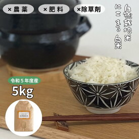 米 新米 令和5年度産 自然栽培 【完全自然栽培米（ にこまる）白米 5kg】 無農薬 無肥料 無堆肥 無除草剤 無添加 国産 自然農法 にこまる 天日干し 白米 こめ 米 宮崎県産 けんちゃん農園 2023年度産 令和5年度産 自然栽培米