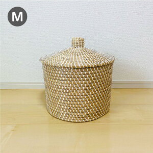 oXPbg  MTCY oXPbg t^t[ [ V[OXoXPbg ZlKoXPbg h[ E߂ Xbp[   ו  