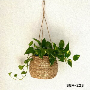 _10/3120OFFN[|^ ݂邷ϗtA ݂邷 CeA G ݂艺 ϗtA ݂邷  nMO oXPbg ݂邷[ Aؔ vgnK[ JS [v nMOv