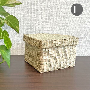 ySSԂ20OFFN[|z ꂩ V[OX oXPbg LTCY oXPbg  VRf nhCh  oXPbg  Vv i` G