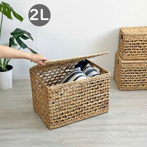 _}\20OFF^ [{bNX t^t [oXPbg [  e oXPbg  JS 2LTCY EH[^[qVX JSoXPbg [ 킢 [ 