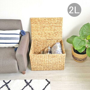 [ oXPbg  2LTCY EH[^[qVX oXPbg VRf nhCh  Vv t^t