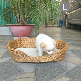 キャット ベッド Lサイズ クッション 犬 猫 ベッド ウォーターヒヤシンス ペットハウス おしゃれ キャットハウス バスケット かわいい 猫用 犬用 ペットハウス ドーム型 室内 ペット