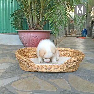 _}\25OFF^ ybg xbh MTCY NbV LXg  L xbh EH[^[qVX ybgnEX  LbgnEX oXPbg 킢 Lp p ybgnE