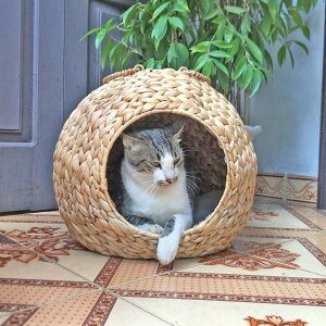 _10/3120OFFN[|^ LnEX L nEX xbh EH[^[ qVX nEX ybgnEX t  EH[^[qVX  ybgxbh ˂ LbgnEX 킢 