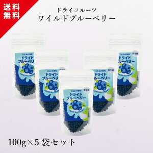 yChu[x[100g×5܃Zbgz hCt[c u[x[ hCu[x[ AJY Ch َqޗ َq  Om[  [Og H HiY