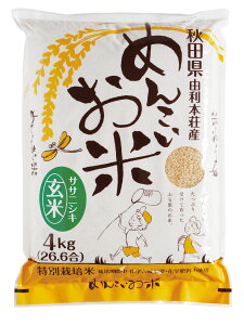 s121ȍ~̏oׁtߘa7NxY TTjVL 100y߂񂱂āE  20kgz(4kg×5܁jYn