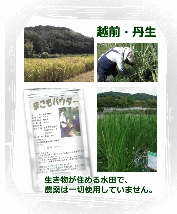 マコモ粉末　2個セット 新発売 Angelbean まこも若葉粉抹 国産 無農薬 まこもシリカ高