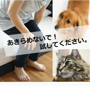 rĚNɁy炭ϐ2^R[Q 60