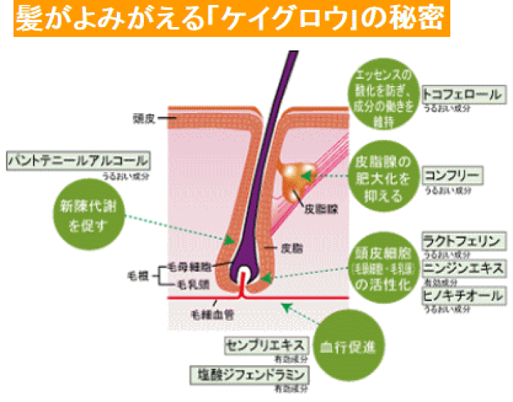 楽天市場】薬用ケイグロウ）シャンプー＆ヘアーエッセンス(300ml+150ml