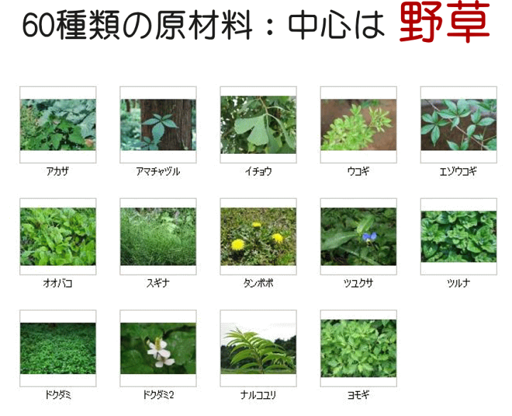 楽天市場】ファスティング ヴィンテージ【THE FASTING Vintage