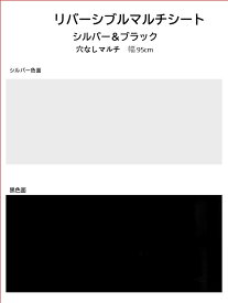 家庭菜園【マルチ】 防虫リバーシブルマルチシート　「シルバー＆ブラック」 10m（郵便配送商品）