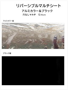 ƒ؉y}`z ho[Vu}`V[g@ uA~J[ubNv 10miX֔zij