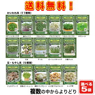 【種】 複数の中からよりどり選べる 　家庭菜園オーガニックスプラウト種 5袋セット！（郵便配送商品）
