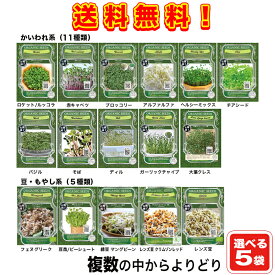 【種】 複数の中からよりどり選べる 　家庭菜園オーガニックスプラウト種 5袋セット！（郵便配送商品）