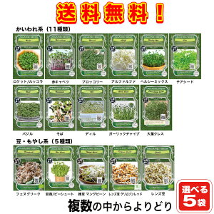 yz ̒ǂIׂ @ƒ؉I[KjbNXvEg 5܃ZbgIiX֔zij