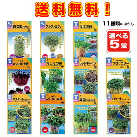 【種】 11種類から選べる 　家庭菜園スプラウト種 5袋セット！（郵便配送商品）