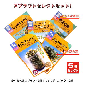 yz ƒ؉XvEg 5ZNgZbg @n3+₵n2 iX֔zij