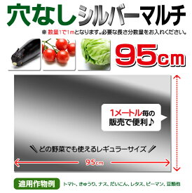 楽天市場 シルバーマルチ 100 ガーデニング 農業 花 ガーデン Diy の通販 楽天市場 シルバーマルチ 100 ガーデニング 農業 花 ガーデン Diy の通販