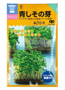 ƒ؉yz XvEg ̉ iX֔zij