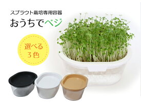 楽天市場 スプラウト 栽培 容器の通販