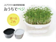 家庭菜園　おうちでベジ −スプラウト栽培専用容器− 2色から選べる （郵便配送商品）※ベージュはメーカ…