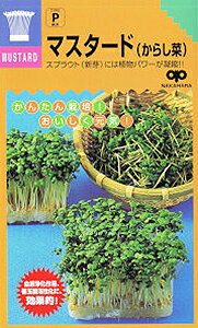 ƒ؉yz XvEg }X^[hi炵؁j 1 iX֔zij