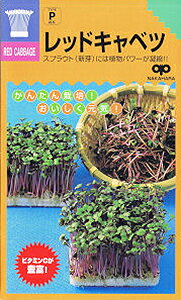 ƒ؉yz XvEg bhLxc 1 iX֔zij