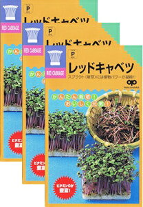 ƒ؉yz XvEg bhLxc 3܃Zbg iX֔zij