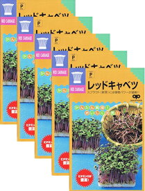 家庭菜園【種】 スプラウト レッドキャベツ 30ml 5袋セット （郵便配送商品）