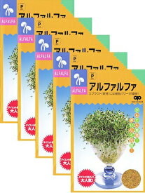 家庭菜園【種】 スプラウト アルファルファ 30ml 5袋セット （郵便配送商品）