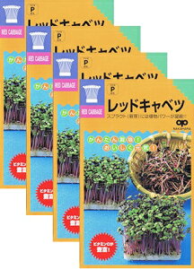 ƒ؉yz XvEg bhLxc 4܃Zbg iX֔zij